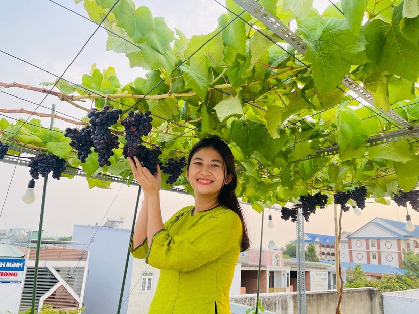 Ngắm khu vườn 80m2 phủ kín rau trái trên sân thượng của cô gái trẻ tại TP.HCM- Ảnh 1.