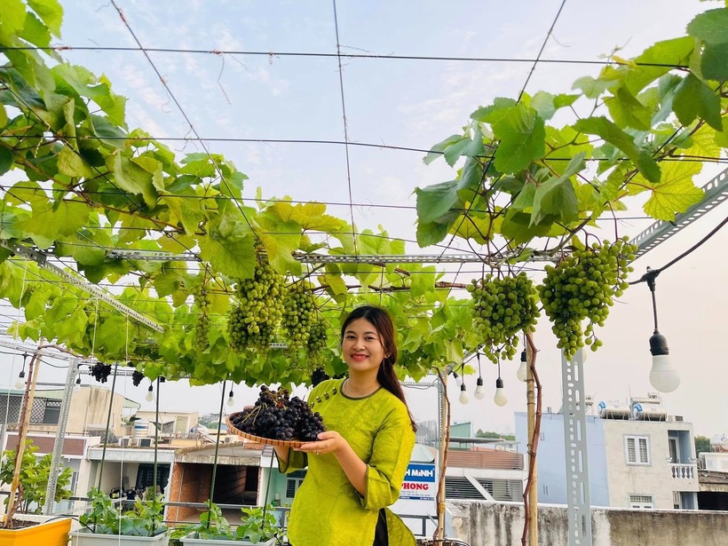 Ngắm khu vườn 80m2 phủ kín rau trái trên sân thượng của cô gái trẻ tại TP.HCM- Ảnh 10.