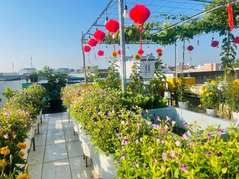 Ngắm khu vườn 80m2 phủ kín rau trái trên sân thượng của cô gái trẻ tại TP.HCM- Ảnh 6.