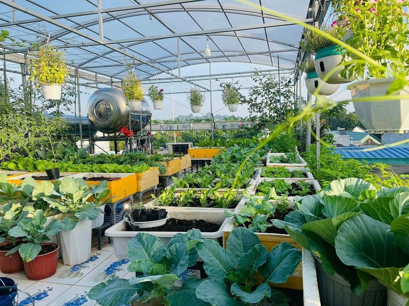 Ngắm khu vườn 80m2 phủ kín rau trái trên sân thượng của cô gái trẻ tại TP.HCM- Ảnh 8.