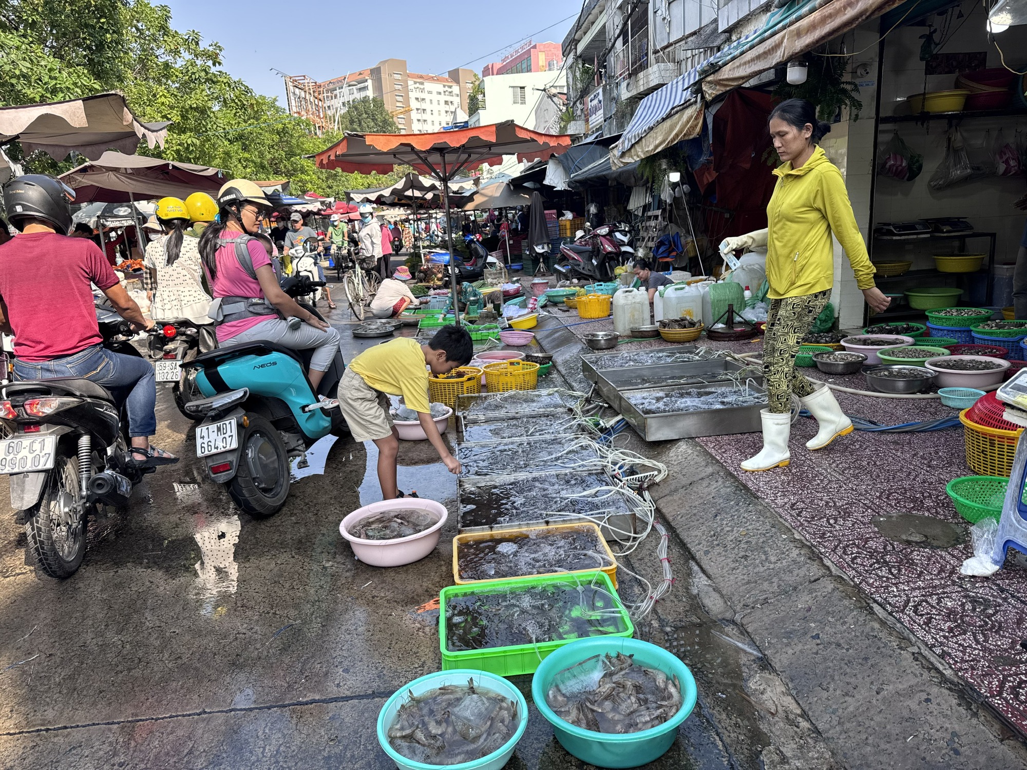 Giá hải sản cao sau Tết tại TP HCM: Tình hình thị trường 2026 - Ảnh 5.