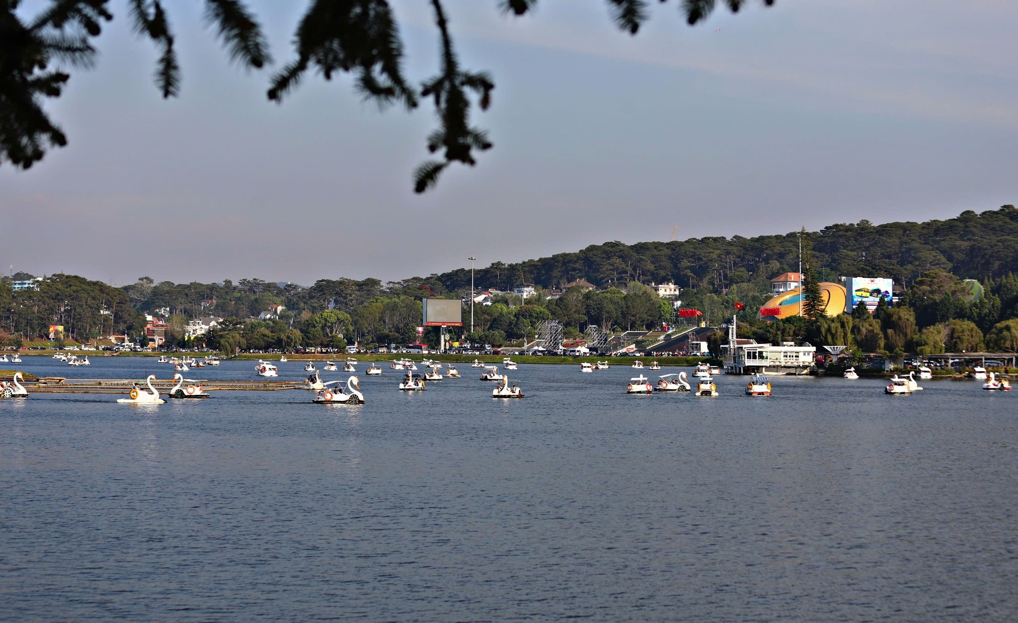 Lâm Đồng đón gần 1 triệu du khách dịp Tết Nguyên đán, doanh thu 1.800 tỉ đồng - Ảnh 2.