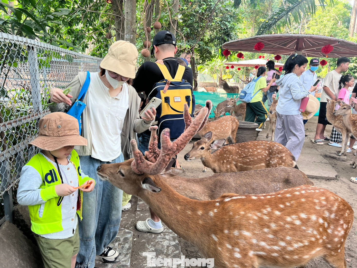 Thảo Cầm Viên Sài Gòn chật kín người du xuân- Ảnh 8.