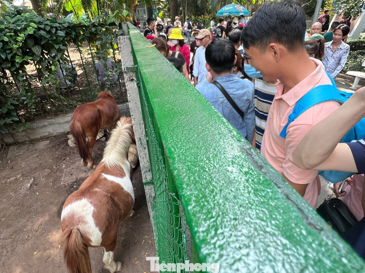 Thảo Cầm Viên Sài Gòn chật kín người du xuân- Ảnh 10.