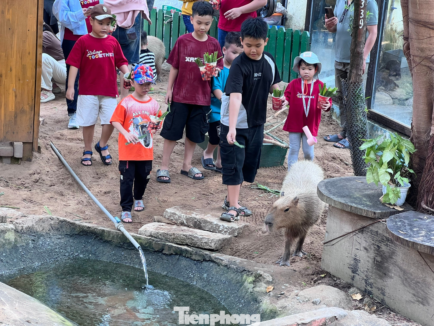 Thảo Cầm Viên Sài Gòn chật kín người du xuân- Ảnh 11.