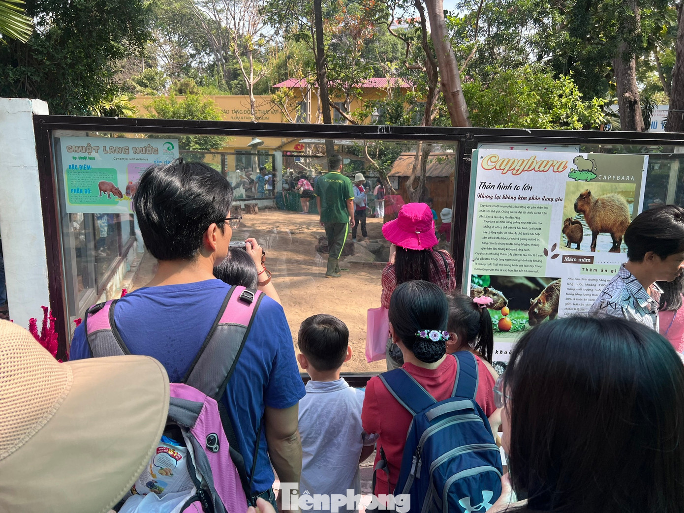 Thảo Cầm Viên Sài Gòn chật kín người du xuân- Ảnh 12.