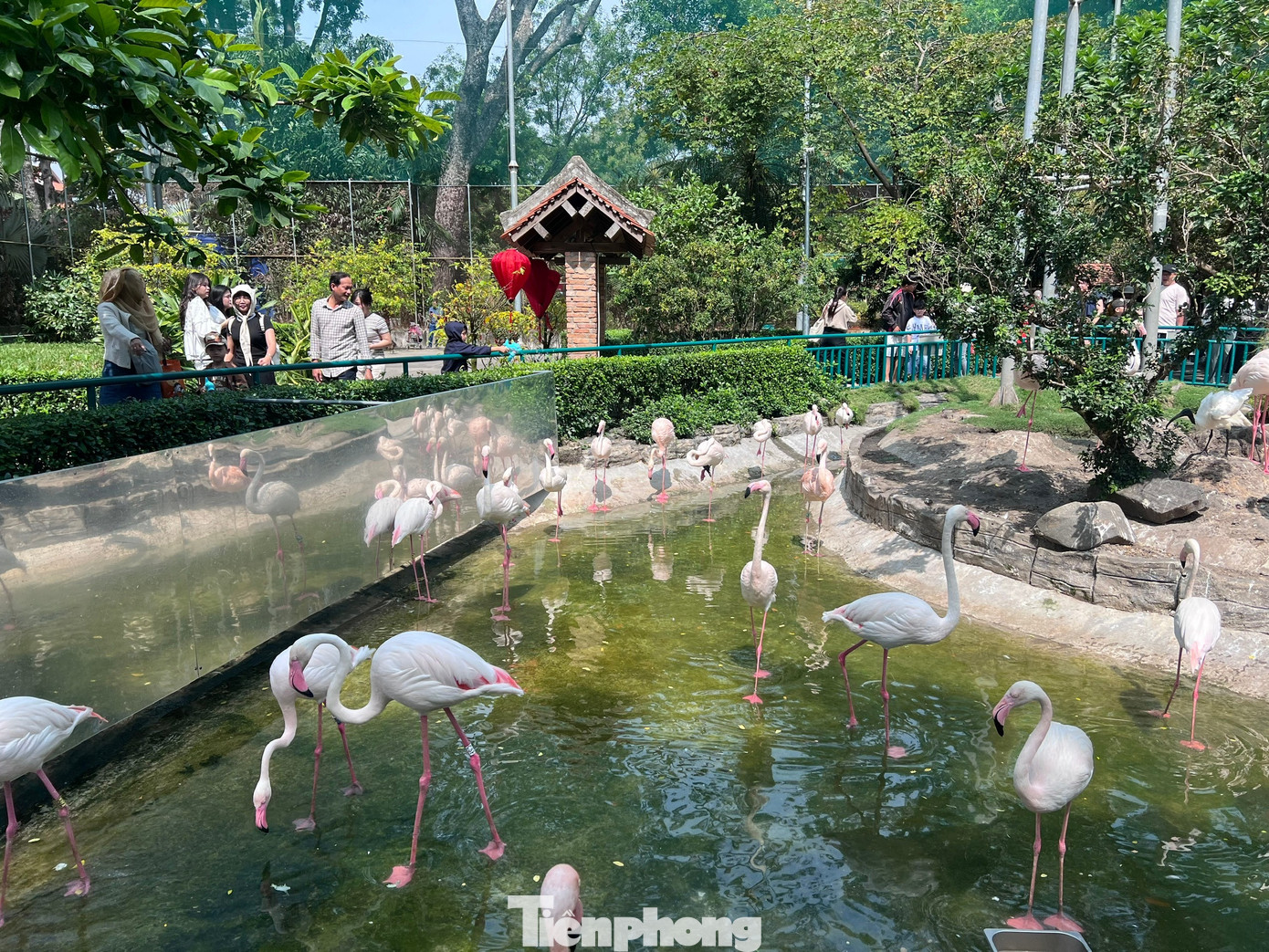 Thảo Cầm Viên Sài Gòn chật kín người du xuân- Ảnh 15.