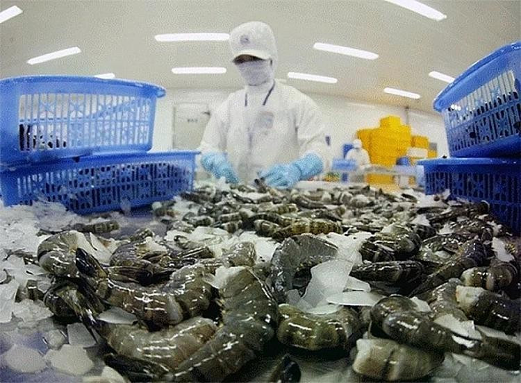 Mỹ giảm mạnh thuế chống bán phá giá với tôm Việt- Ảnh 1.