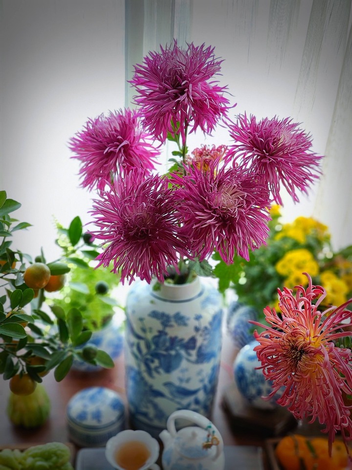 Ngắm những bình hoa cúc cổ đẹp nao lòng của mẹ đảm Hà Nội- Ảnh 6.