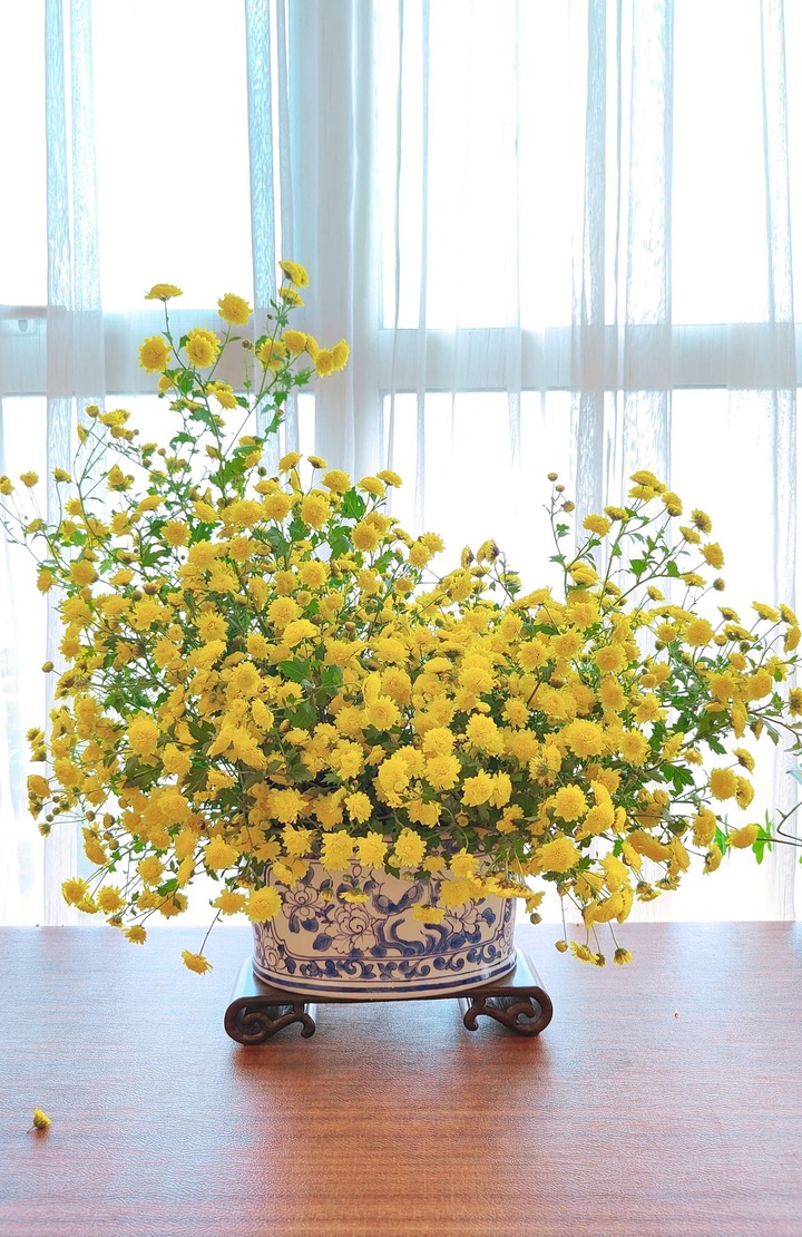 Ngắm những bình hoa cúc cổ đẹp nao lòng của mẹ đảm Hà Nội- Ảnh 19.