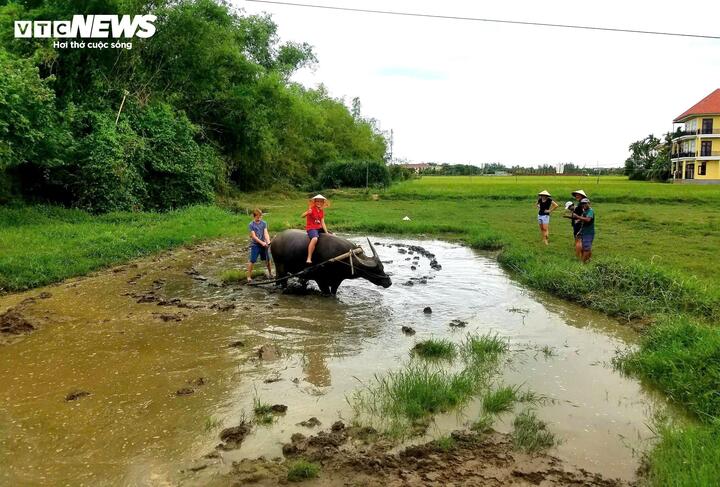Khám phá ngôi làng Việt lọt top đẹp nhất thế giới- Ảnh 8.