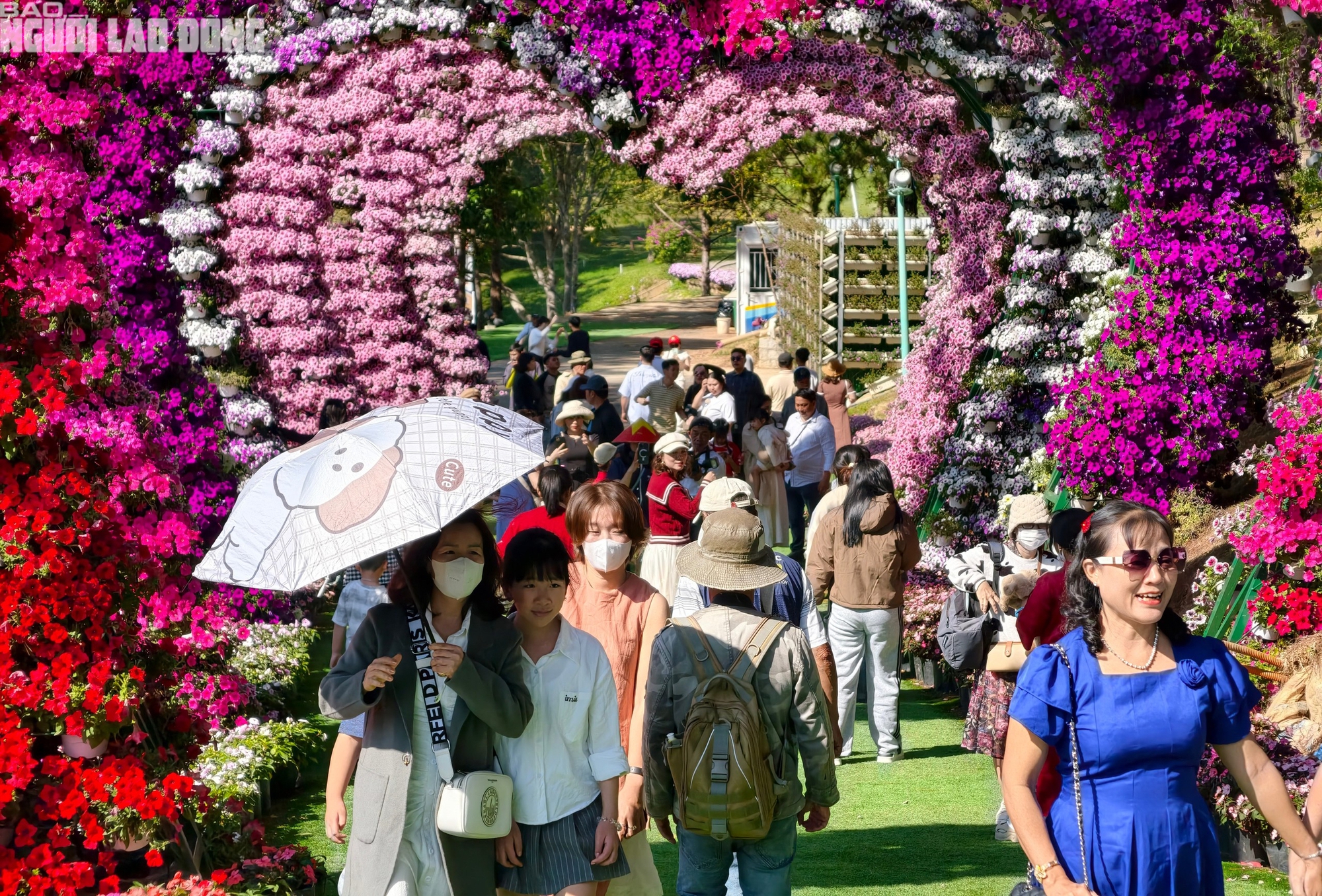 Mùng 6 Tết, Đà Lạt vẫn rộn ràng khách du xuân - Ảnh 10.