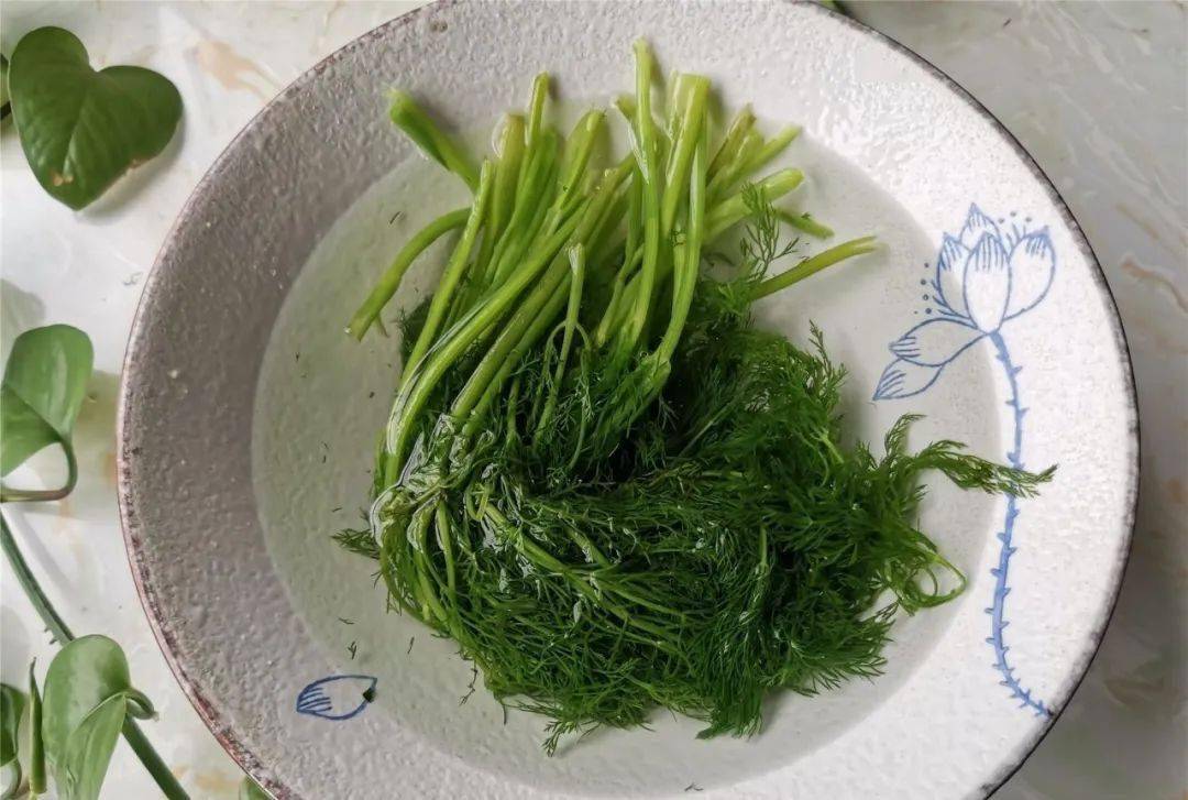 Tôi mua loại rau này mỗi mùa xuân về: Nấu 5 món ngon mà nhanh, hàm lượng canxi cao gấp 5 lần trứng- Ảnh 2.