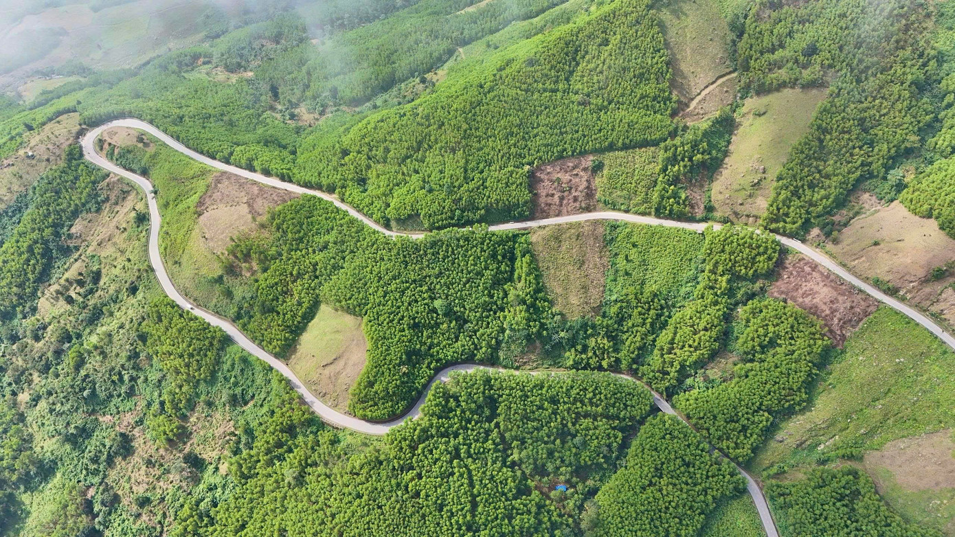 Hơn 2.350 tỷ đồng nâng cấp Quốc lộ ở Quảng Ngãi, giải bài toán đèo Vi Ô Lắk- Ảnh 1.