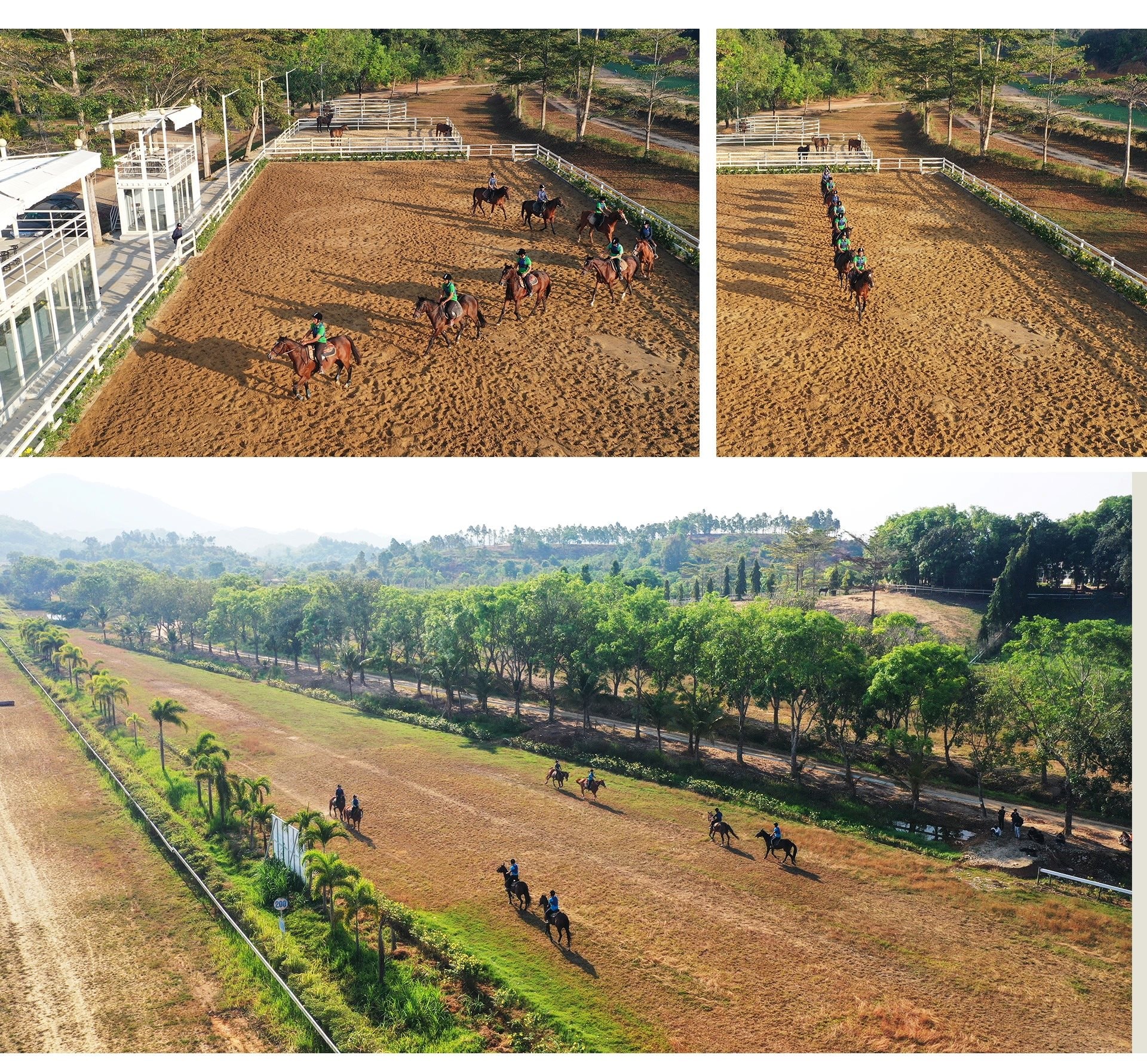 Cụ ông U80 quê Hà Tĩnh: 76 tuổi vẫn làm Chủ tịch 'cầm trịch' dự án trường đua ngựa 1.550 tỷ đồng- Ảnh 5.