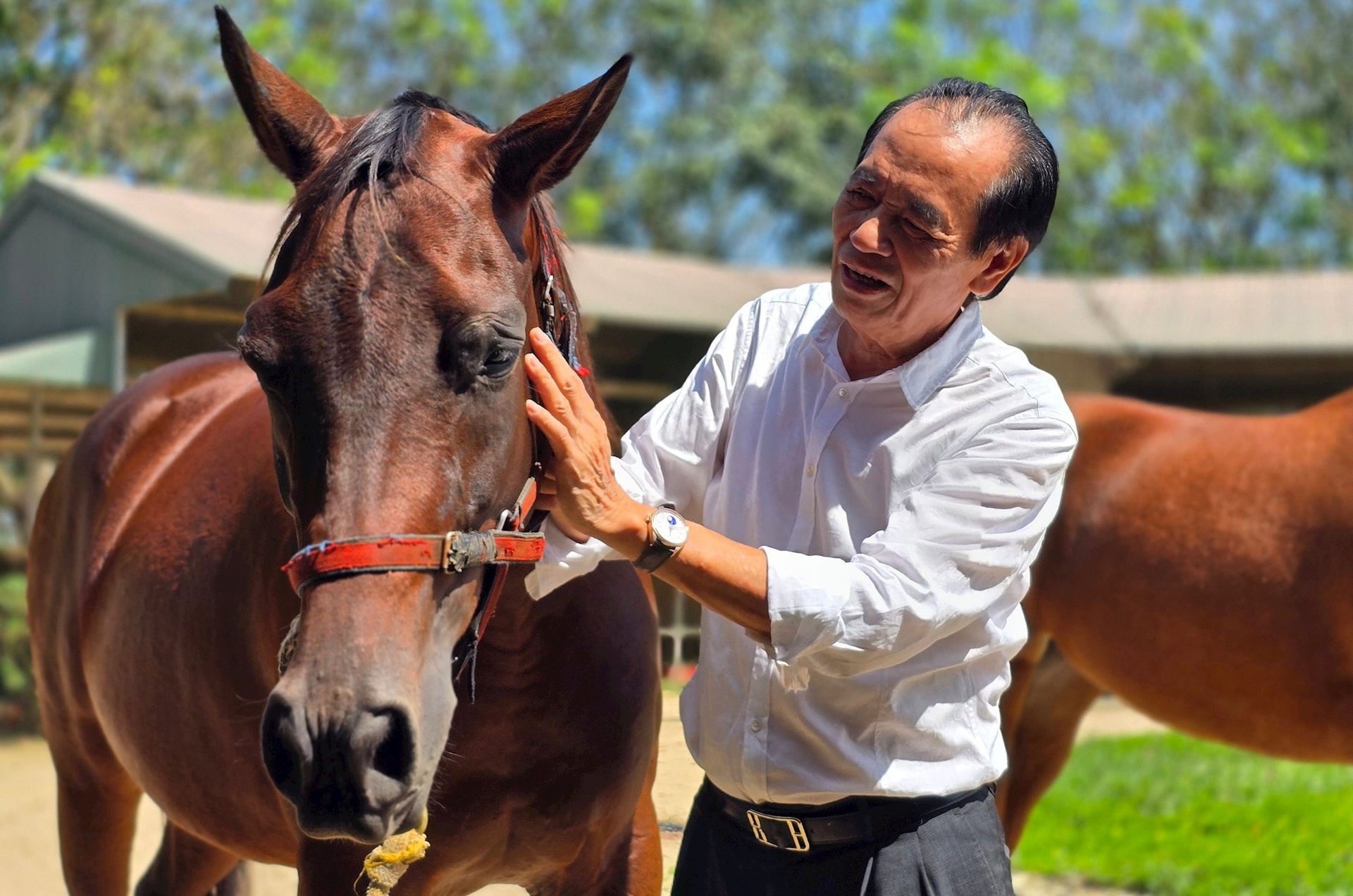 Cụ ông U80 quê Hà Tĩnh: 76 tuổi vẫn làm Chủ tịch 'cầm trịch' dự án trường đua ngựa 1.550 tỷ đồng- Ảnh 1.