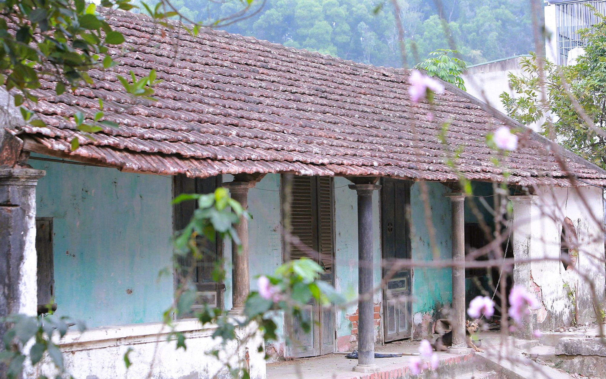 Làng cổ Đông Sơn – một trong 10 làng cổ đẹp nhất Việt Nam bên bờ sông Mã - Ảnh 9.