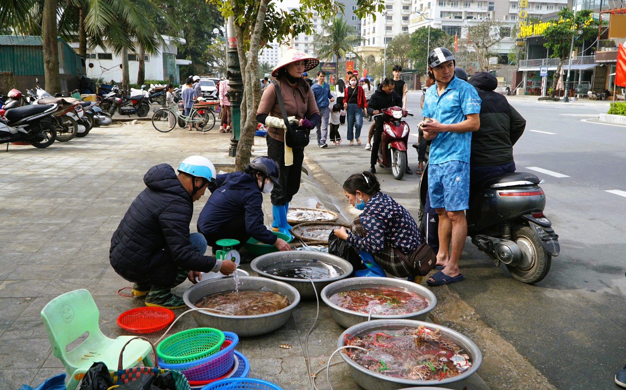 Gần 1 triệu đồng/kg cá khoai, ngư dân hồ hởi "xông biển" ngày đầu năm mới - Ảnh 5.