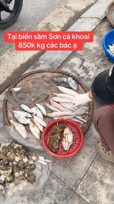 Loại cá mềm như cháo đang "cháy hàng" ngày đầu năm: Giá 1 triệu đồng/kg, có tiền chưa chắc mua được - Ảnh 2.