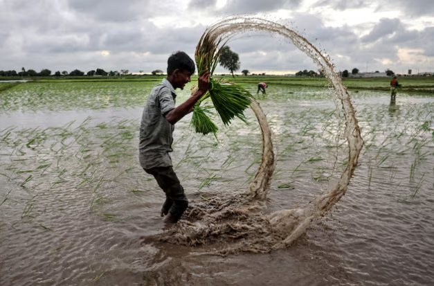 Vừa tuyên bố sẽ tự túc lương thực, quốc gia Đông Nam Á chốt đơn 1.000 tấn gạo từ Mỹ, sẽ được miễn thuế với 172 mặt hàng- Ảnh 1.