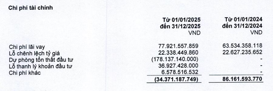 Vietravel báo lỗ Q4, hoàn nhập dự phòng hơn 178 tỷ đồng từ hãng bay do con trai bầu Hiển làm chủ tịch- Ảnh 2.