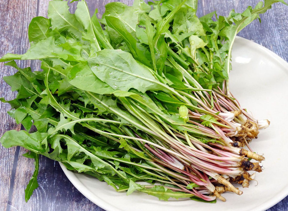 Loại cỏ dại nhưng được coi là “nữ hoàng thảo dược”, pha nước uống có loạt công dụng khiến nhiều người bất ngờ- Ảnh 2.