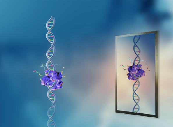 Bí ẩn "Sự sống gương": Lời cảnh báo về thứ có thể khiến Trái đất tận thế  - Ảnh 2.