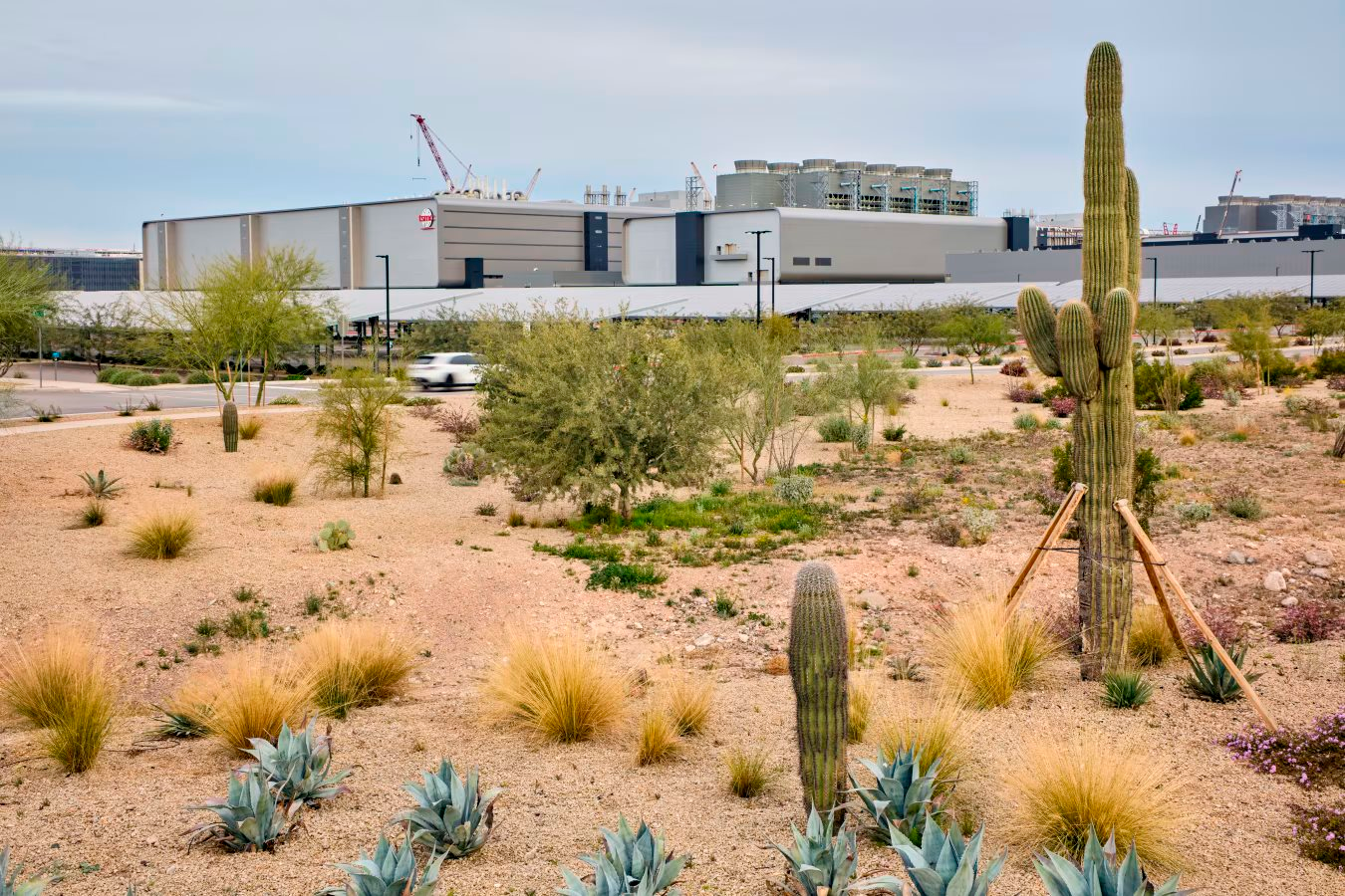 Kế hoạch dần ‘rời xa châu Á’ trị giá 600 tỷ USD của Apple- Ảnh 2.