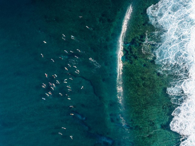 Chuyện gì đang xảy ra ở Hawaii?- Ảnh 2.