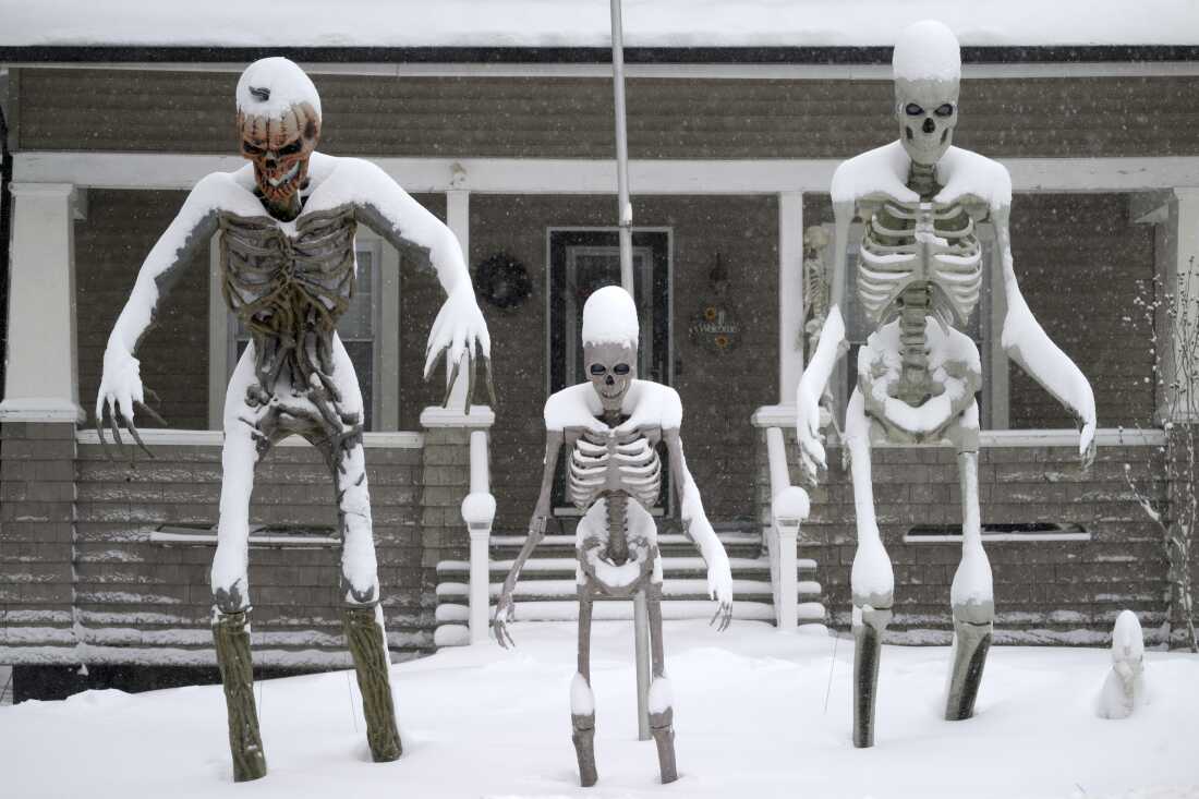 Phía sau khung cảnh New York trắng xóa như cổ tích những ngày này- Ảnh 25.