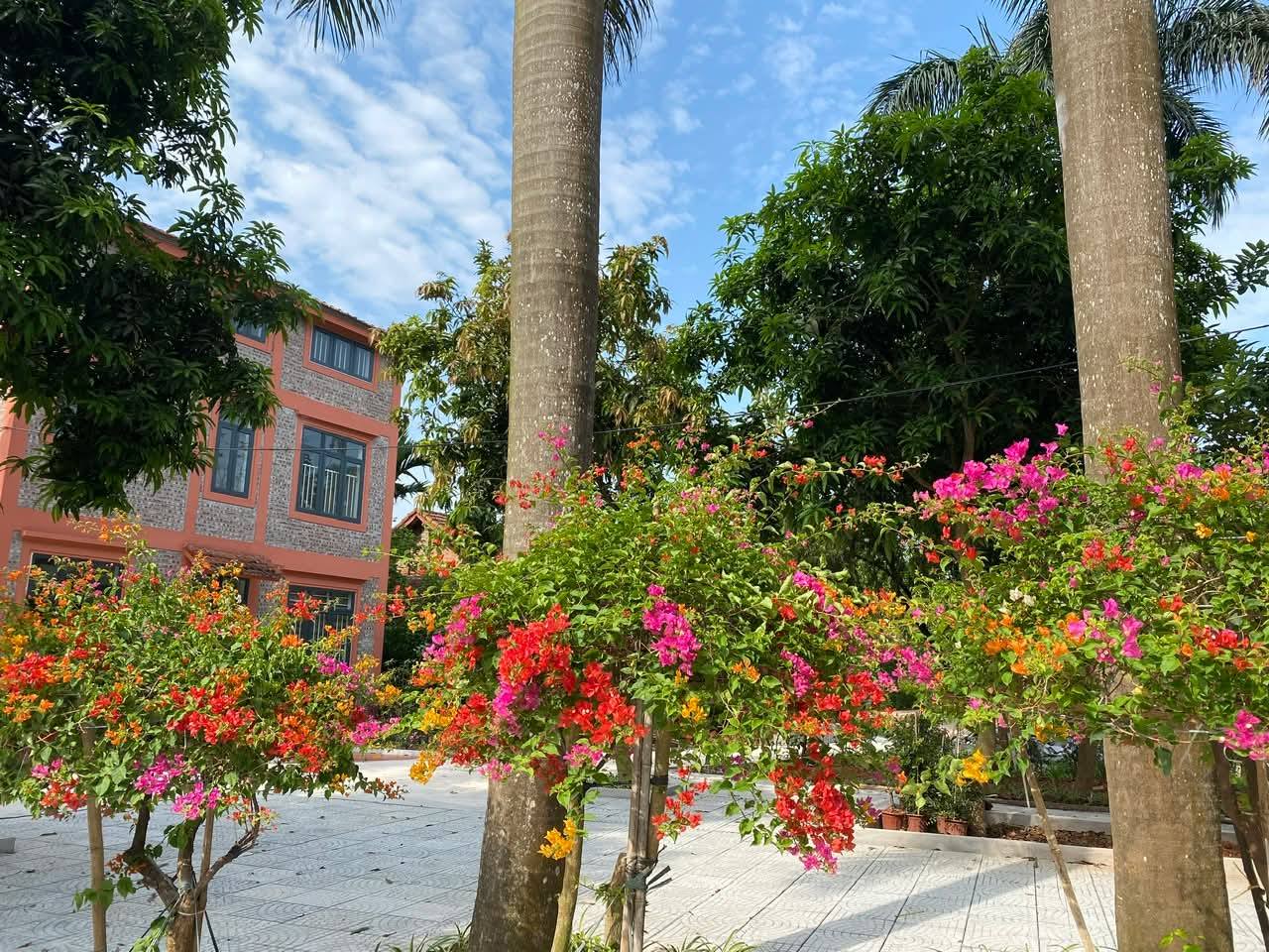 Một viện dưỡng lão ở rìa Hà Nội: Gần núi Ba Vì, có phòng ở như căn hộ chung cư thu nhỏ - Ảnh 6.