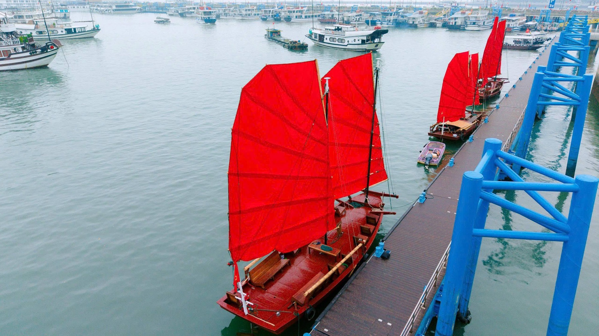 Chính thức: Tạm dừng hoạt động của thuyền buồm đỏ ven bờ vịnh Hạ Long, lý do là gì? - Ảnh 8.