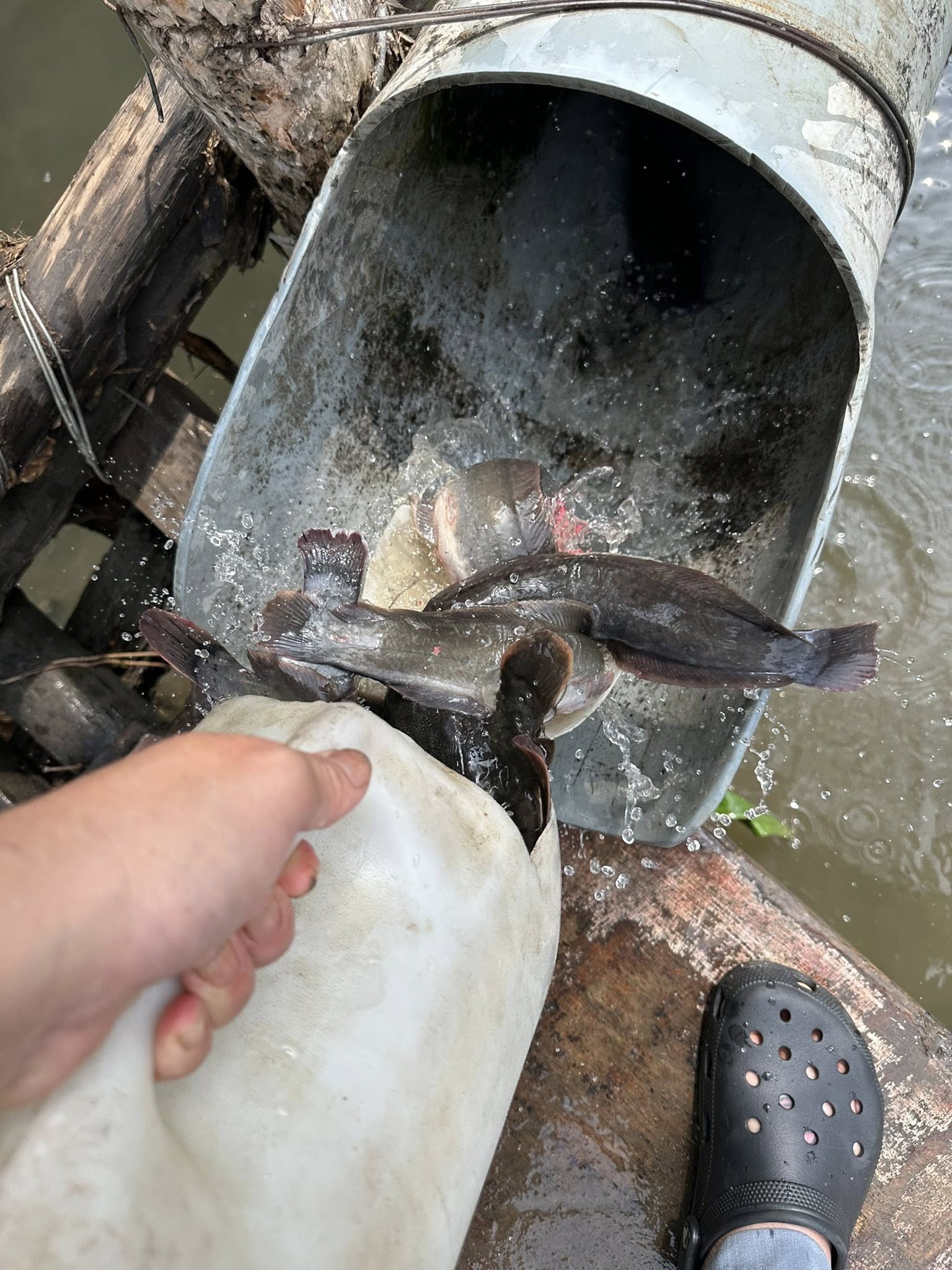 Nam MC đình đám nói thẳng một điều về ngày vía Thần Tài: "Chẳng phải để khoe mà là để xúi" - Ảnh 3.