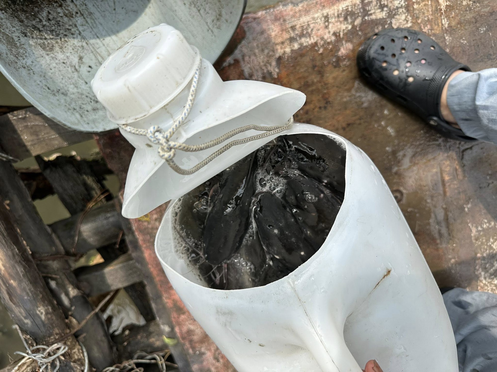 Nam MC đình đám nói thẳng một điều về ngày vía Thần Tài: "Chẳng phải để khoe mà là để xúi" - Ảnh 4.