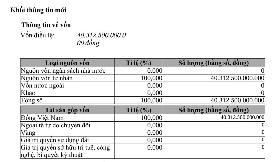 Masterise bất ngờ giảm 91% vốn điều lệ, hơn 32.000 tỷ đã chảy sang một công ty mới- Ảnh 2.