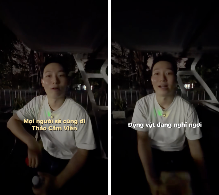 Khách Hàn ngã ngửa đi tour đêm mới biết dàn thú Thảo Cầm Viên cũng bị dí KPI- Ảnh 1.
