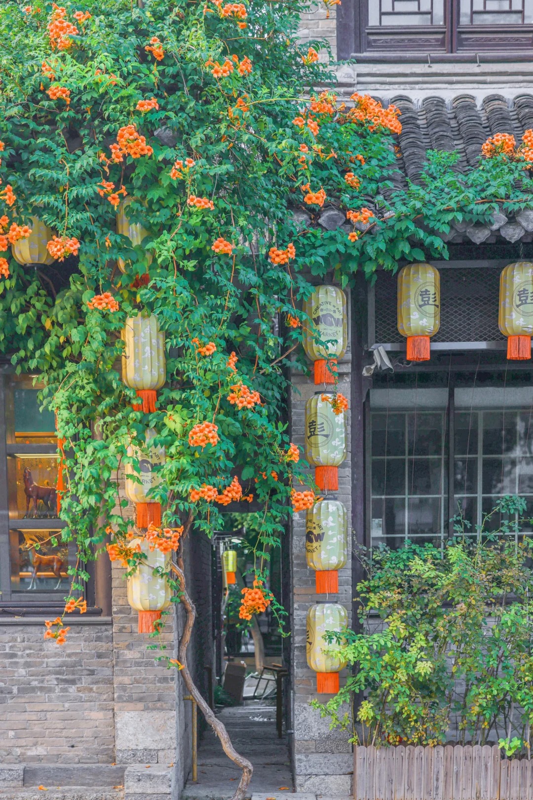 Đừng dại trồng 8 loại cây này trong nhà và sân vườn: Đẹp trước mắt, “đau ví” về sau - Ảnh 2.