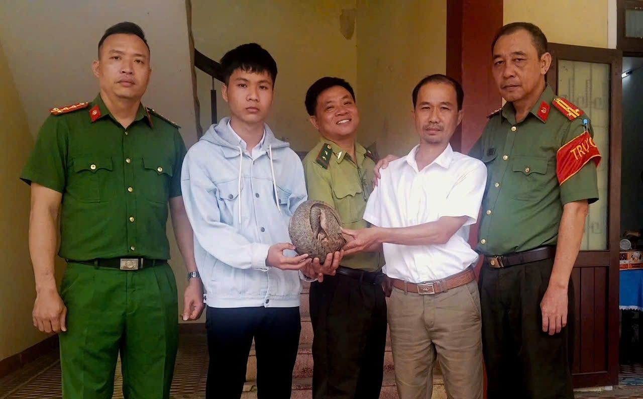 Người dân Đà Nẵng giao nộp tê tê qúy hiếm cho cơ quan chức năng - Ảnh 1.