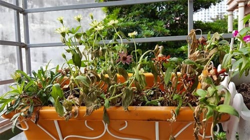 7 dấu hiệu nhận biết ngôi nhà "lỗi phong thủy": Càng ở càng bí bách, khó làm ăn - Ảnh 3.