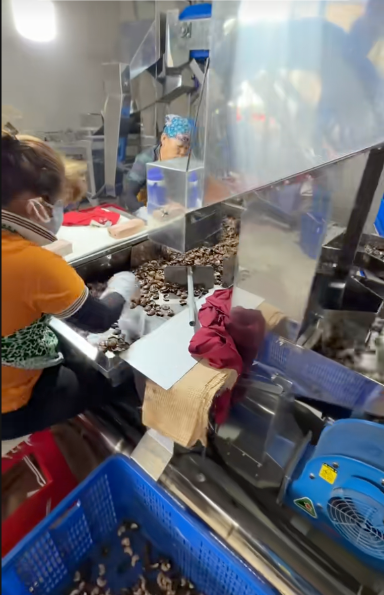 Cô dâu Tây Ninh lấy chồng Campuchia hé lộ “số phận” khoản tiền cưới bạc tỷ và "cơ ngơi hồi môn" triệu đô được bố mẹ tặng khi lấy chồng - Ảnh 4.