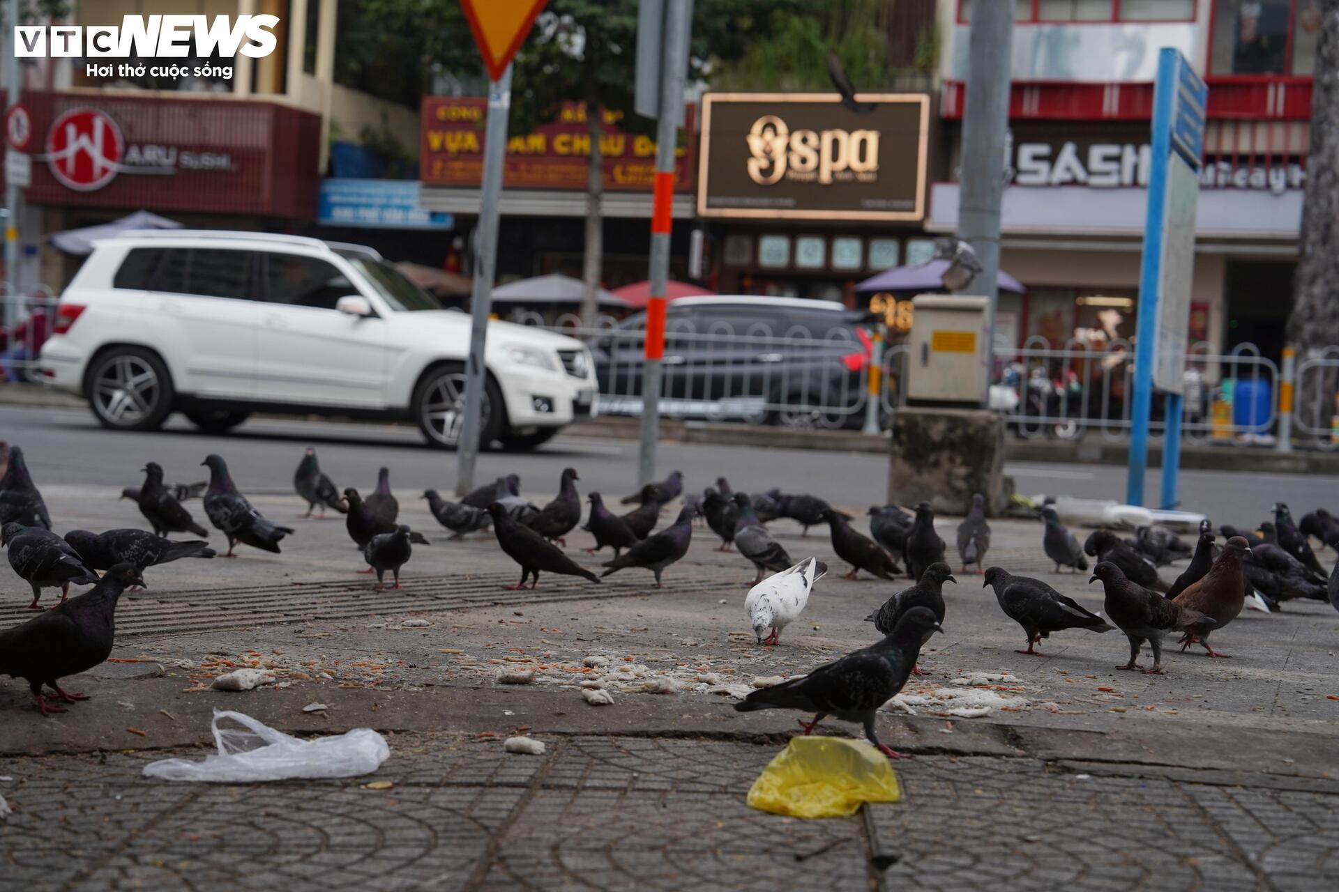 Xe đạp công cộng TP.HCM ế ẩm, du khách ngại dùng vì lý do khó tin- Ảnh 16.