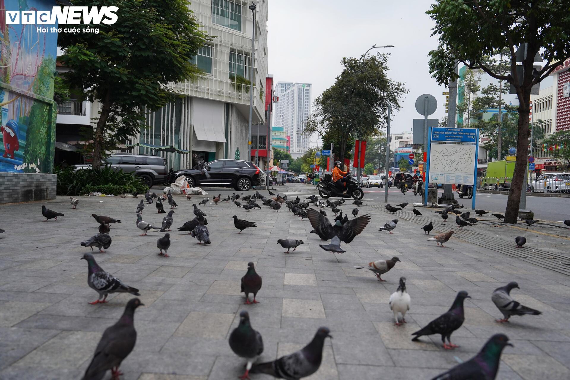 Xe đạp công cộng TP.HCM ế ẩm, du khách ngại dùng vì lý do khó tin- Ảnh 14.