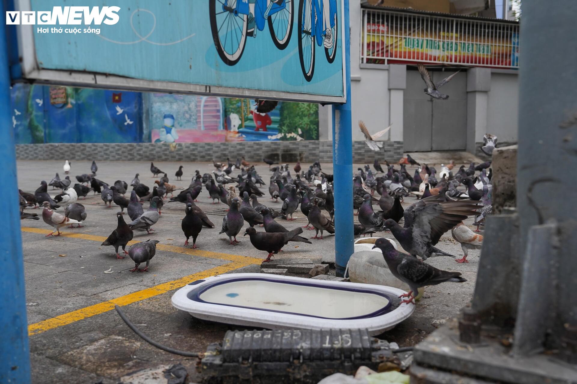 Xe đạp công cộng TP.HCM ế ẩm, du khách ngại dùng vì lý do khó tin- Ảnh 12.