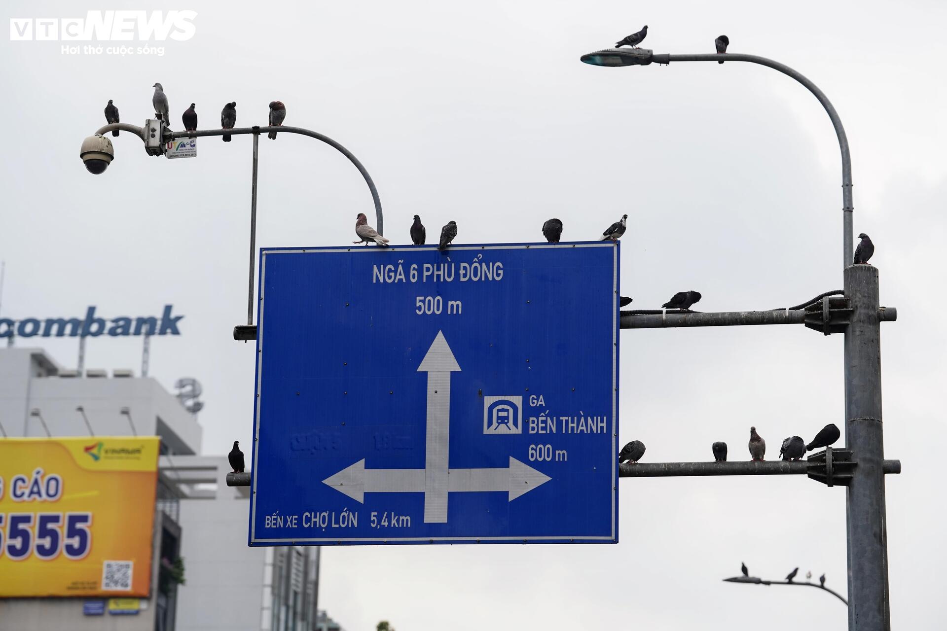 Xe đạp công cộng TP.HCM ế ẩm, du khách ngại dùng vì lý do khó tin- Ảnh 11.