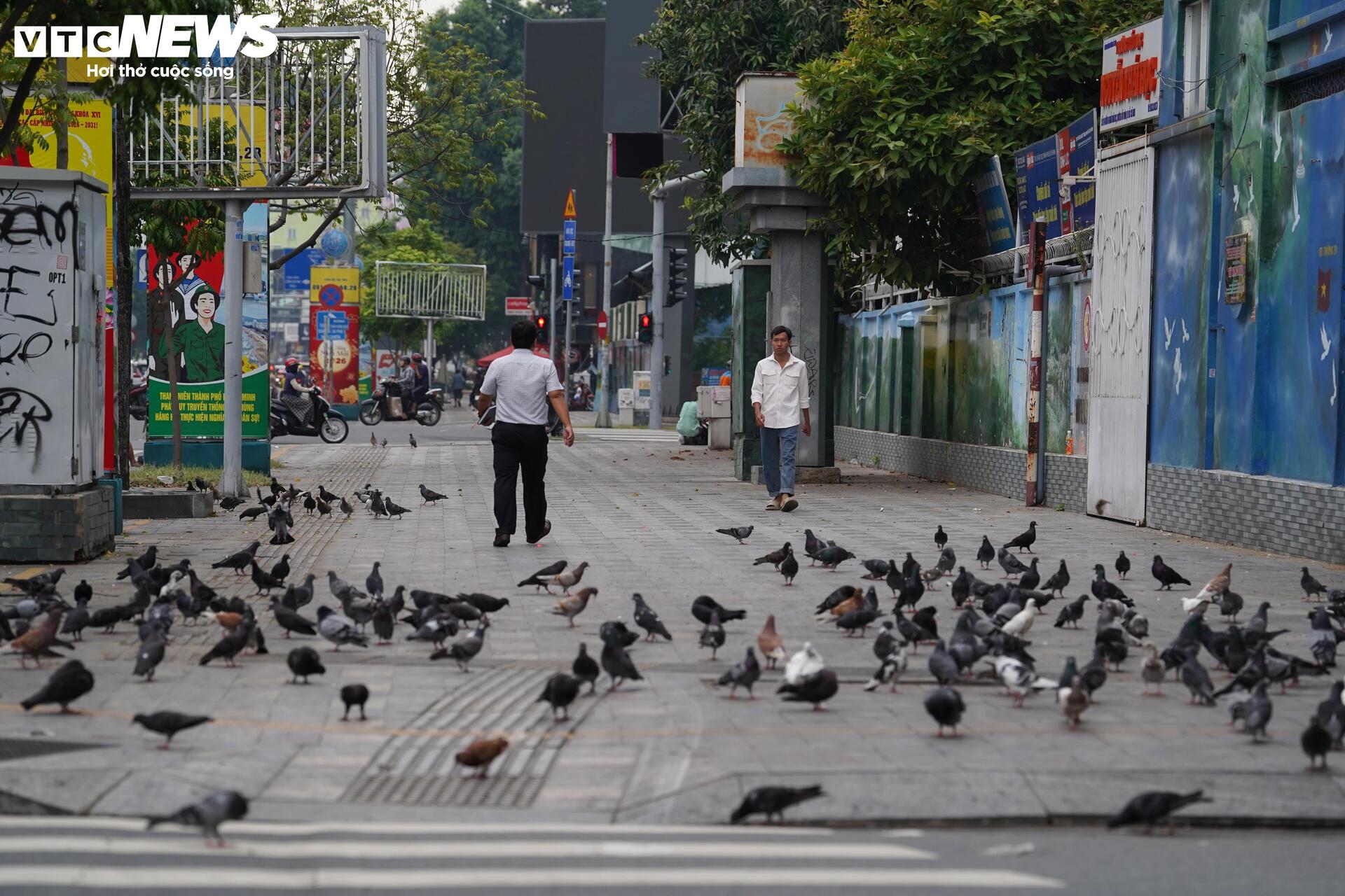 Xe đạp công cộng TP.HCM ế ẩm, du khách ngại dùng vì lý do khó tin- Ảnh 10.