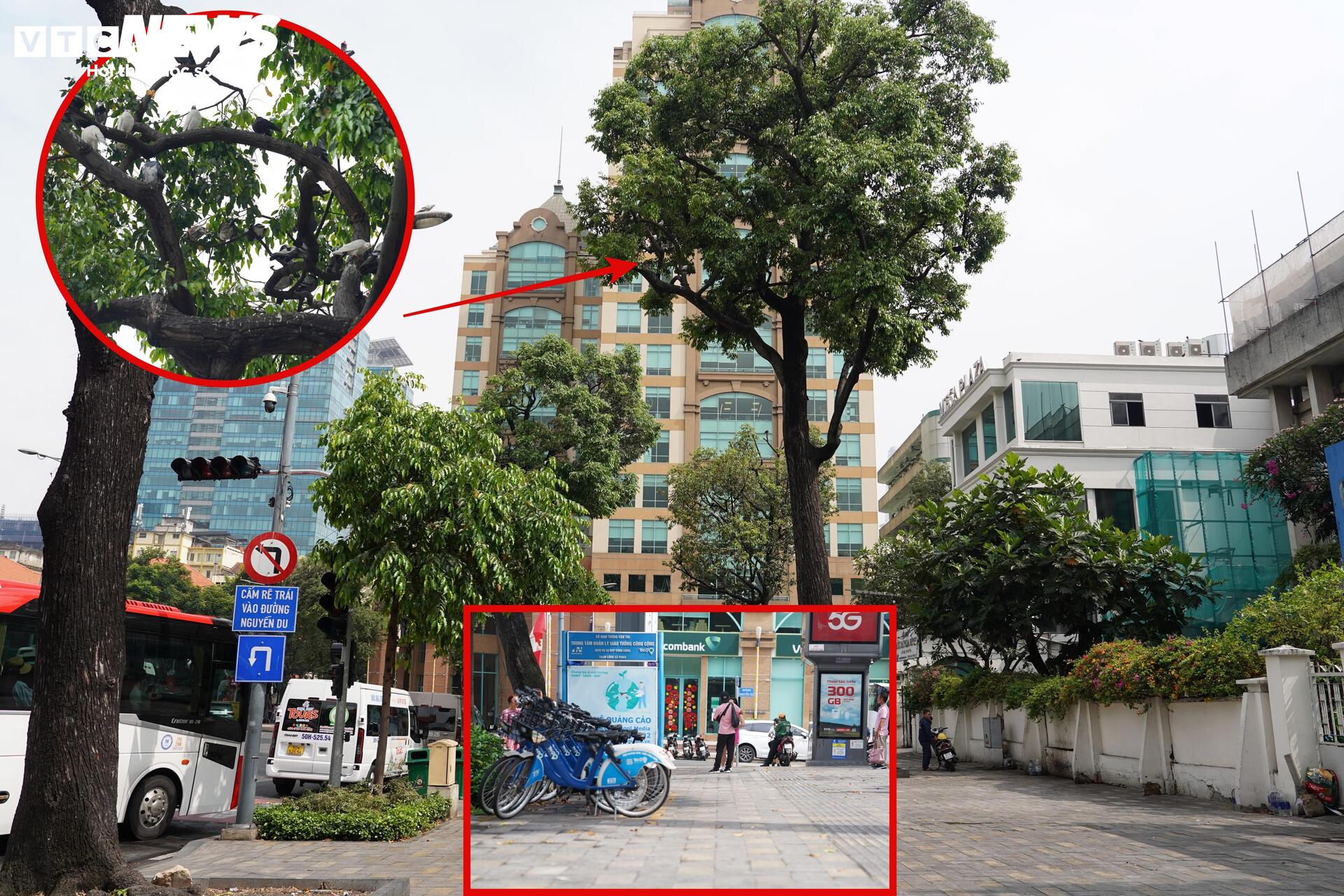 Xe đạp công cộng TP.HCM ế ẩm, du khách ngại dùng vì lý do khó tin- Ảnh 6.