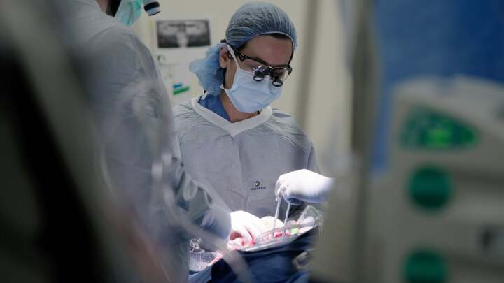 Nữ giáo sư gốc Việt 20 năm chống ung thư và những đề tài triệu USD tại Mỹ- Ảnh 3.