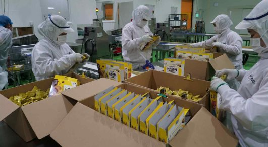 Một ‘đại bàng’ Nhật Bản chọn Việt Nam xây tổ, nước ta trở thành trung tâm xuất khẩu đi 12 nước- Ảnh 1.