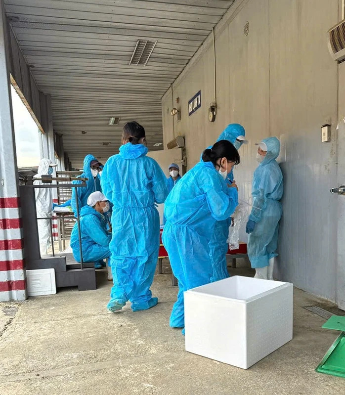 Công ty CP đồ hộp Hạ Long chưa xác định thời gian trở lại hoạt động sản xuất - Ảnh 2.