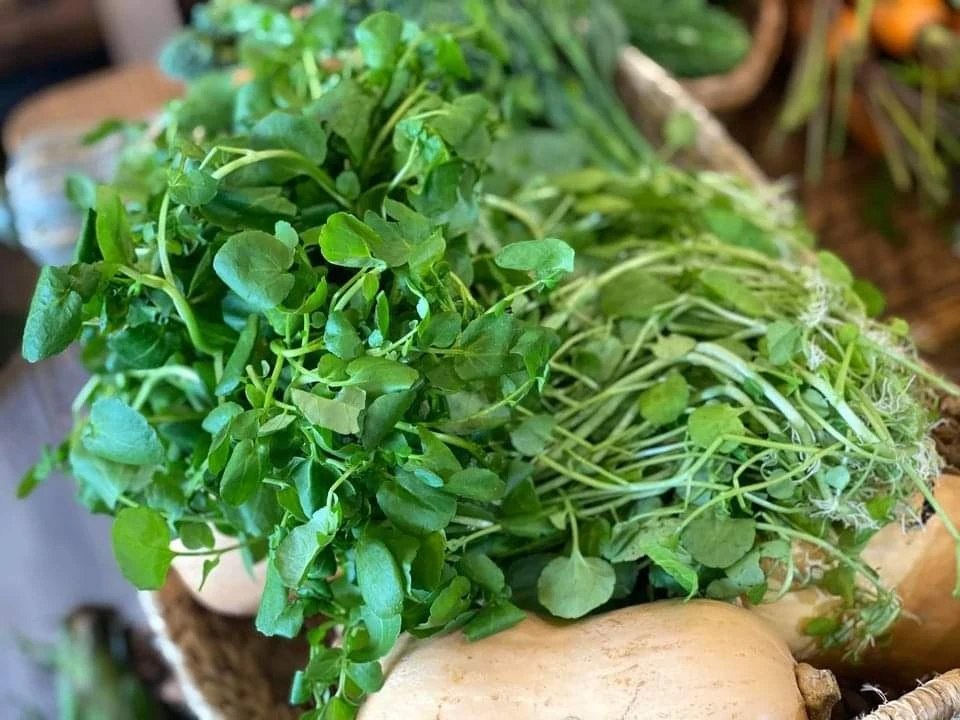 Loại rau "siêu phẩm thế giới", được Mỹ chấm điểm 100/100: Chợ Việt bán la liệt, 15.000đ/mớ - Ảnh 1.